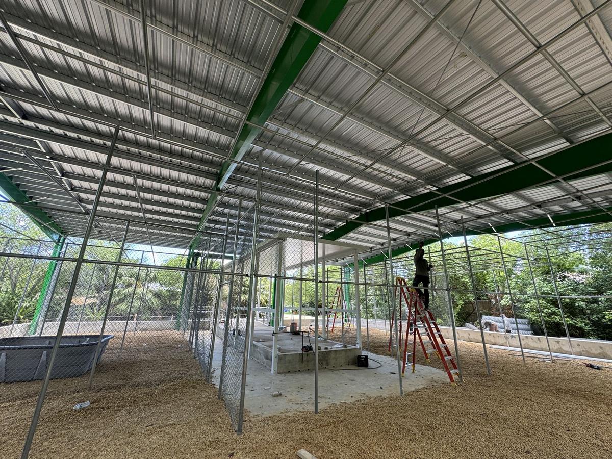 Chain link aviary built for rescued birds under a covered steel structure